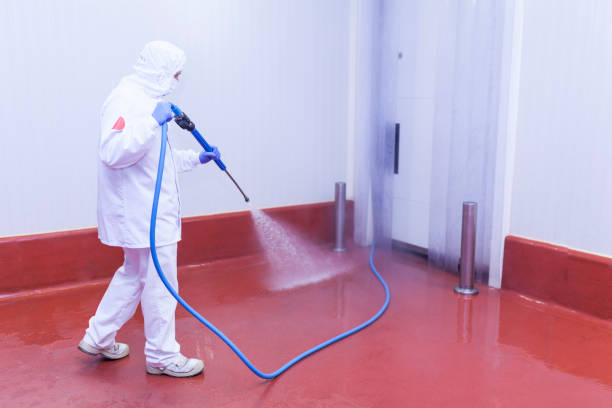  Erlanger, KY Pressure Washing Pros